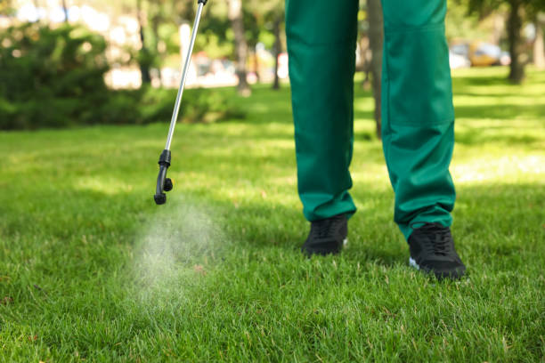 Best Local Pest Control Services  in Marcus Hook, PA