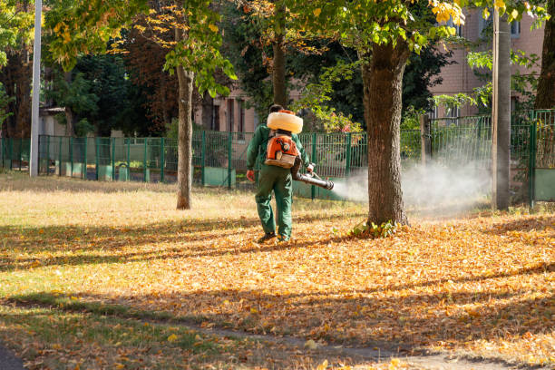 Best Pest Inspection Near Me  in Marcus Hook, PA