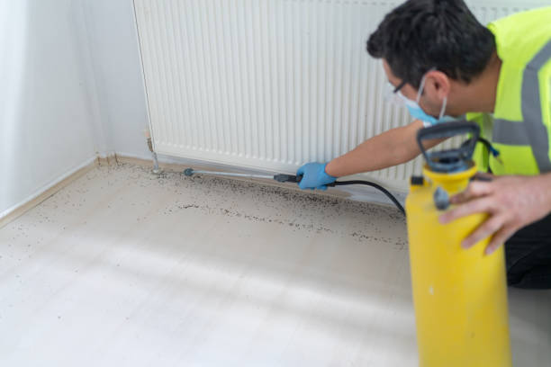 Best Best Pest Control Companies  in Marcus Hook, PA
